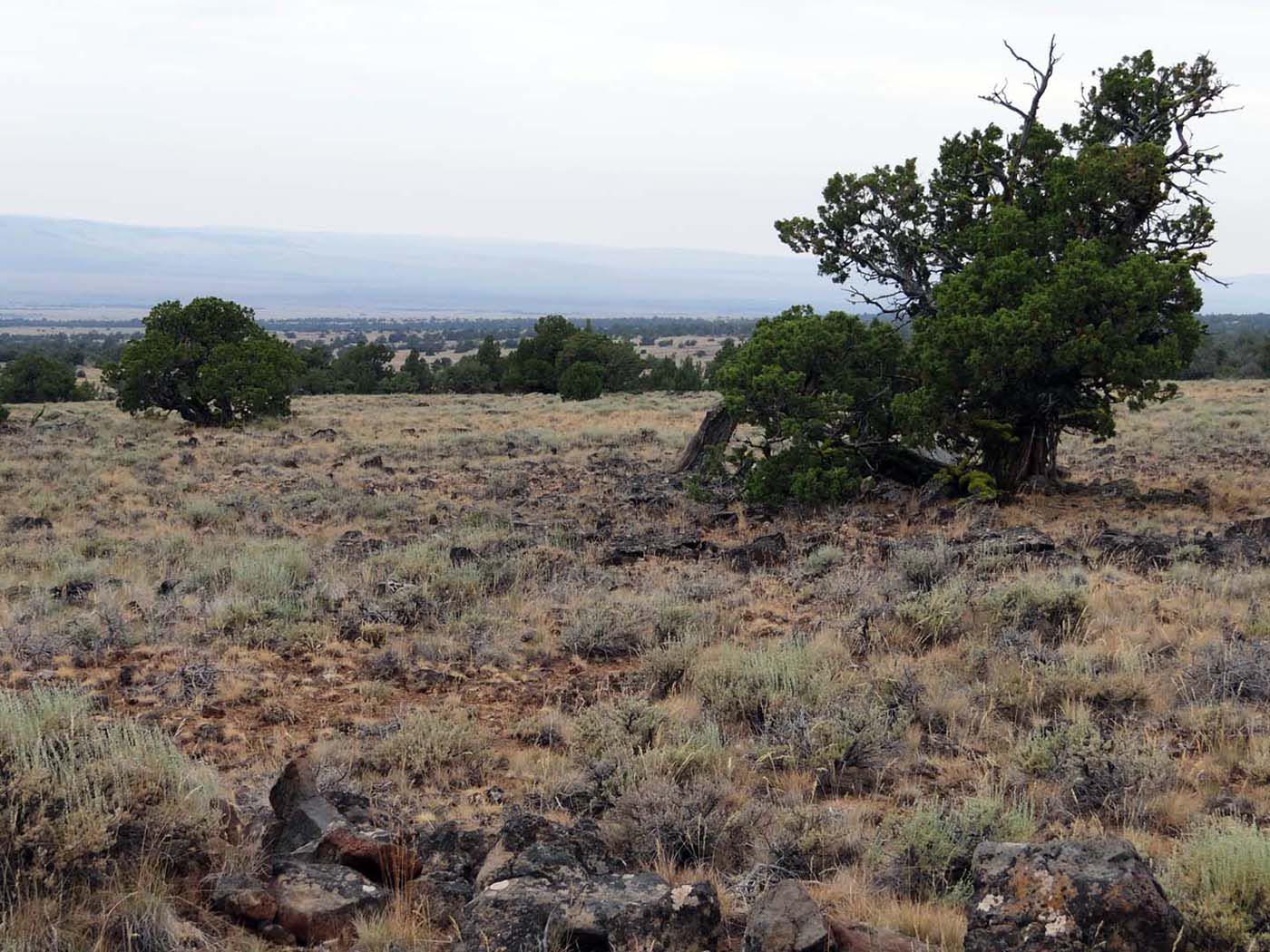 Fish Creek Rim July 2013 JBatchelor (1)